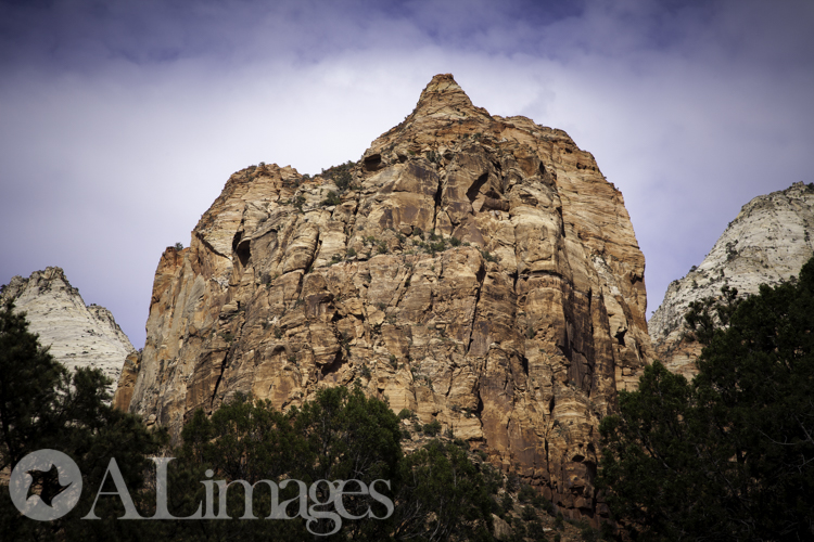 Zion National Park - ALimages 2016