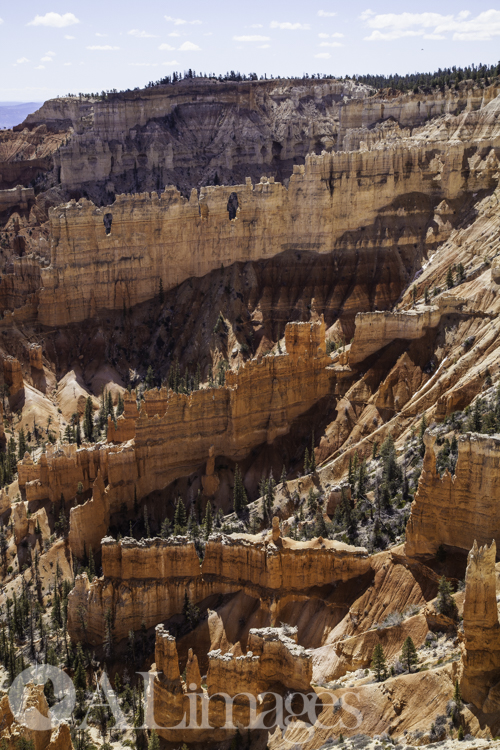 View from Upper Rim Trail - Bryce Canyon National Park - ALimages 2016