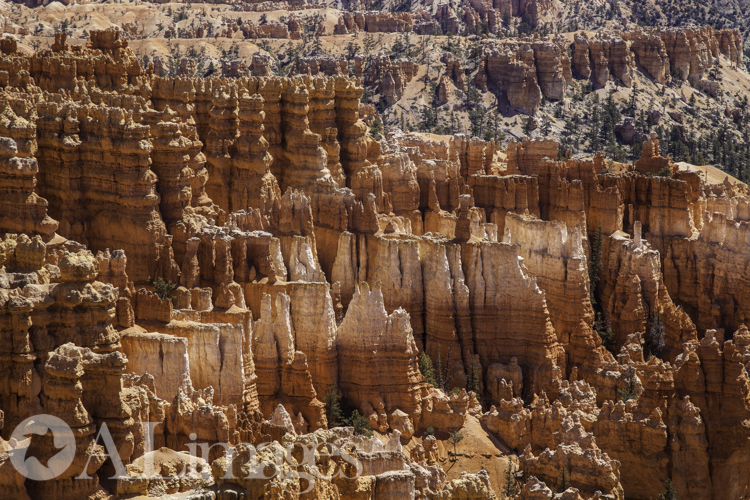 View from Inspiration Point - Bryce Canyon National Park - ALimages 2016