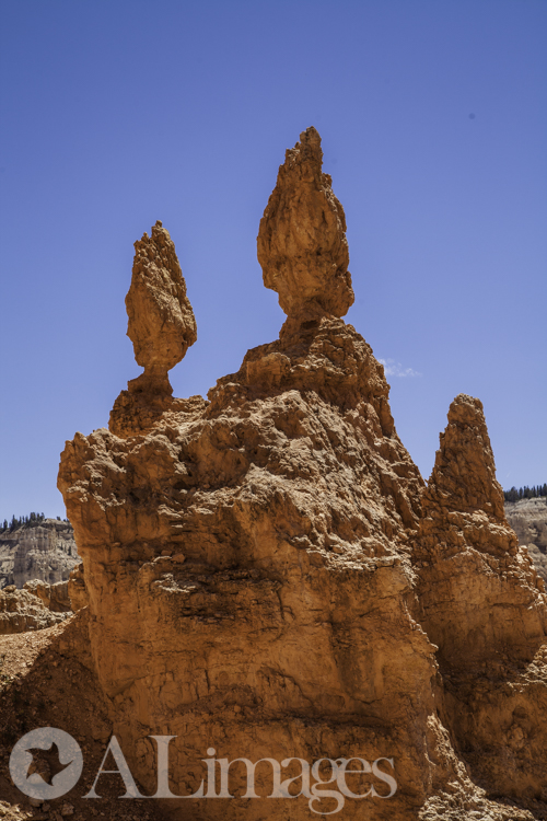 Queens Garden - Bryce Canyon National Park - ALimages 2016