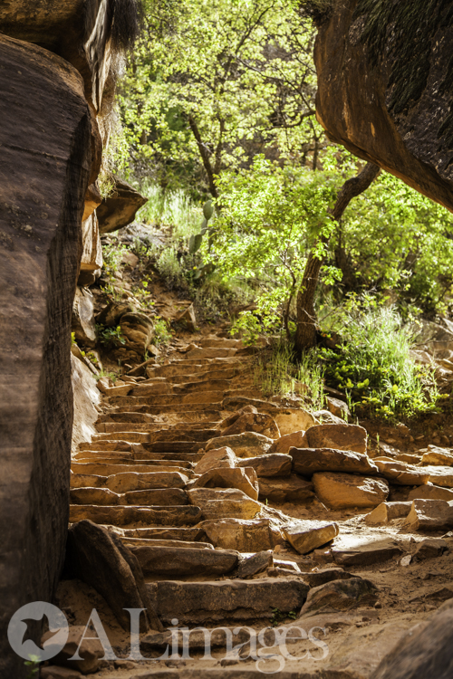 Emerald Pools Hike - Zion National Park - ALimages 2016